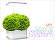 Hydroponics Growing System